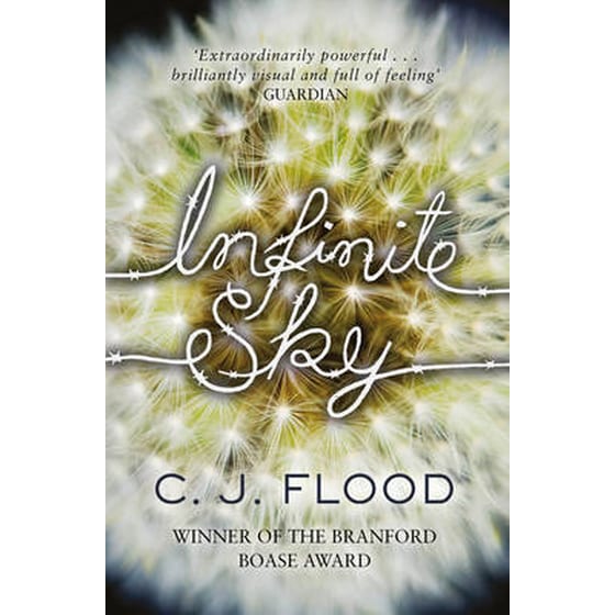Infinite Sky image 0