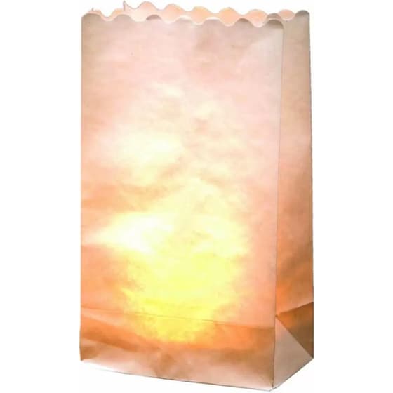 Φαναράκια Χάρτινα, 19χ11,5χ7εκ, Σετ 10τμχ, Πουλιά image 2