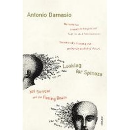 Looking For Spinoza