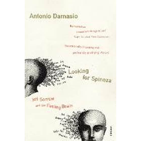 Looking For Spinoza image 0