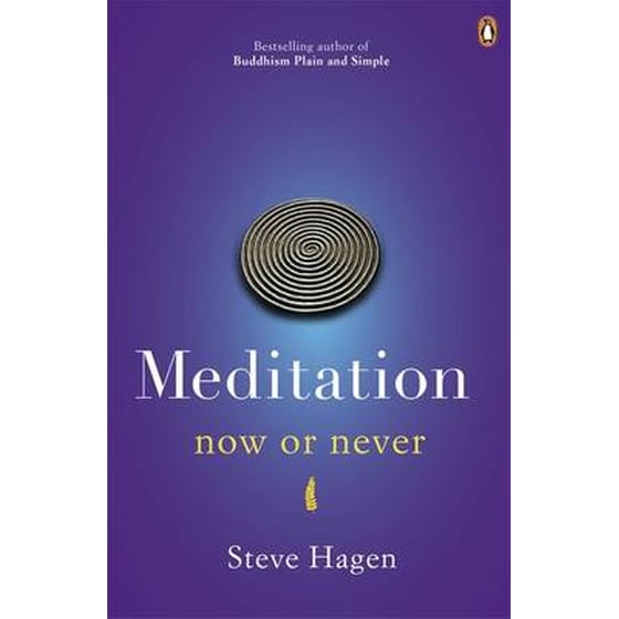 Meditation Now or Never image 0