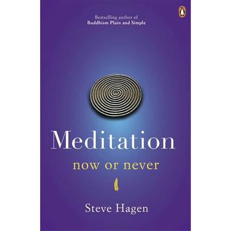 Meditation Now or Never