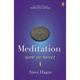Meditation Now or Never
