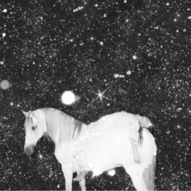 Apocalypse Love (LP Colored)