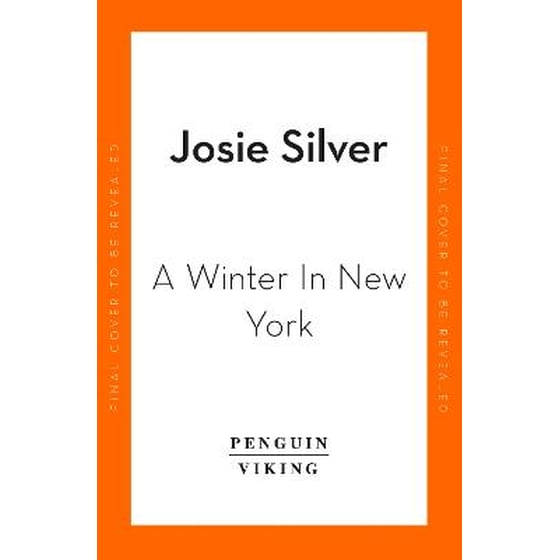 Winter in New York image 0