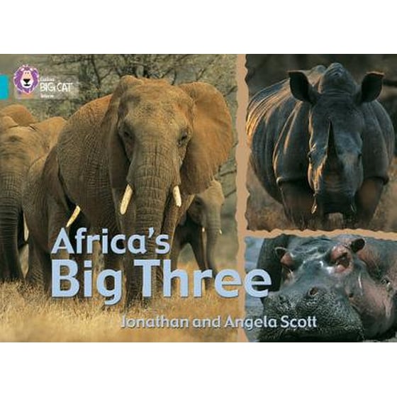 Africa's Big Three Africa's Big Three- Band 07/Turquoise image 0