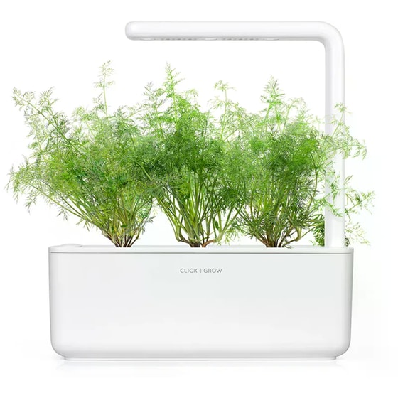Κάψουλες Click and Grow 3 Τμχ - Άνηθος image 4