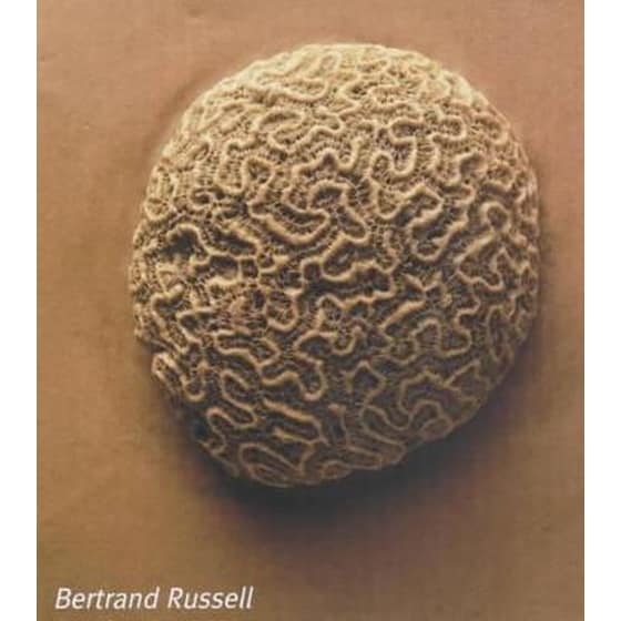 Problems of Philosophy image 0