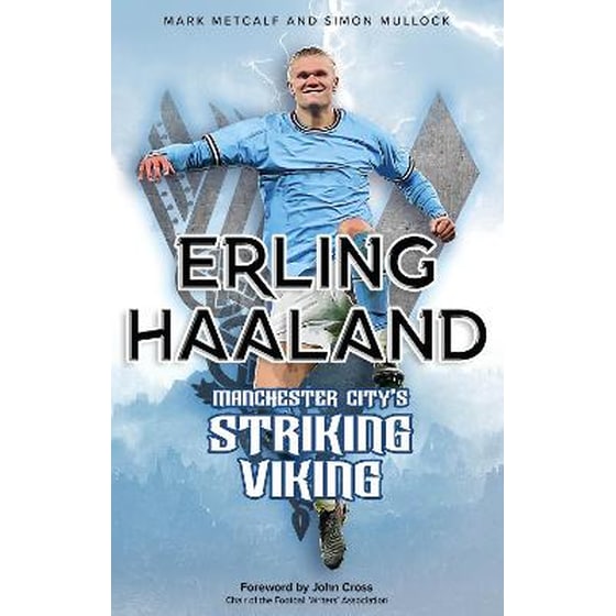 Erling Haaland image 0