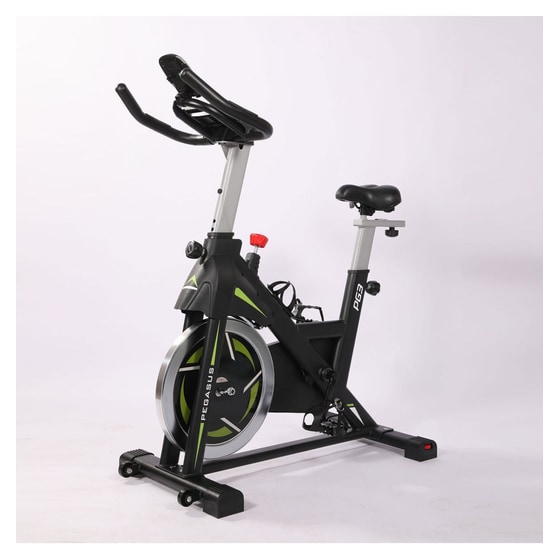 PEGASUS  PG3 Ποδήλατο Spinning Μαγνητικό με Ροδάκια image 0