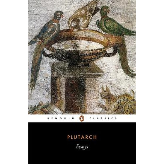 Essays image 0