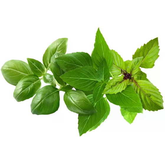 Κάψουλες Click and Grow 9 Τμχ - Mix Βασιλικών image 1