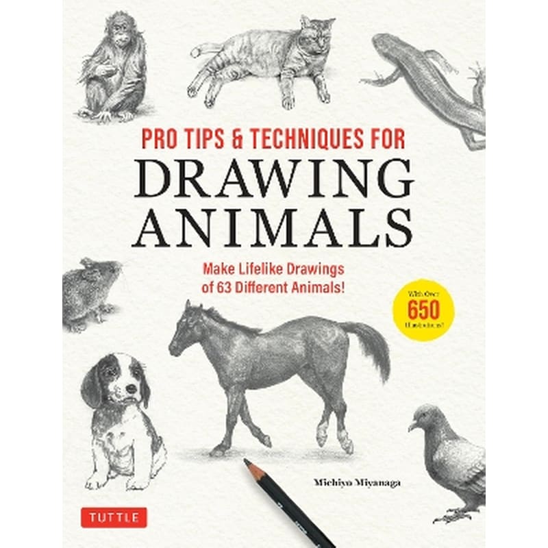 Pro Tips Techniques for Drawing Animals