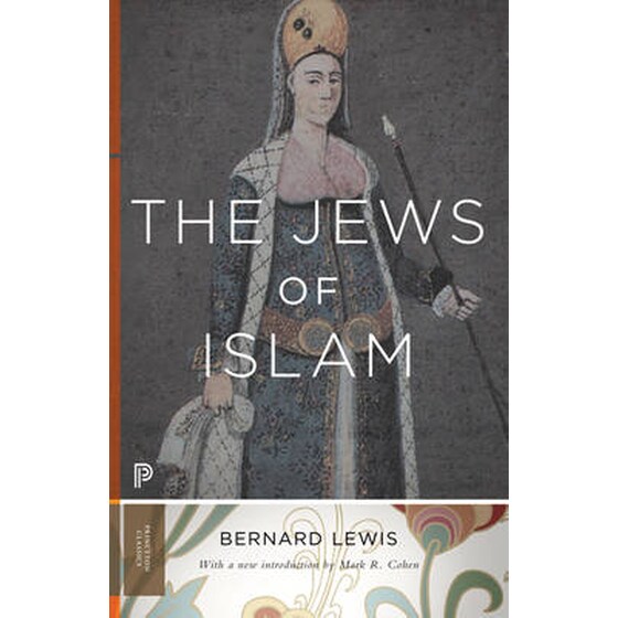 Jews of Islam image 0
