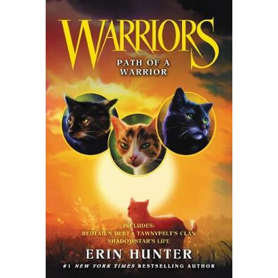 Warriors: Path of a Warrior image 0