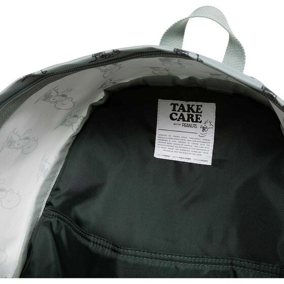 Τσάντα Πλάτης Eastpak Day Pak'r Peanuts Mint image 6