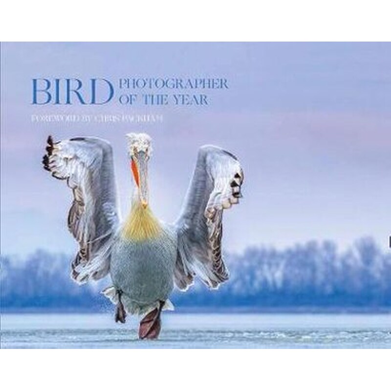Bird Photographer of the Year