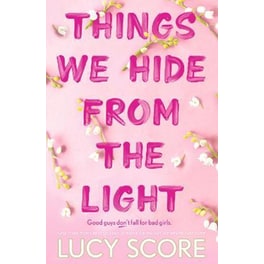 Things We Hide From The Light : the unforgettable sequel to global bestseller Things We Never Got Over