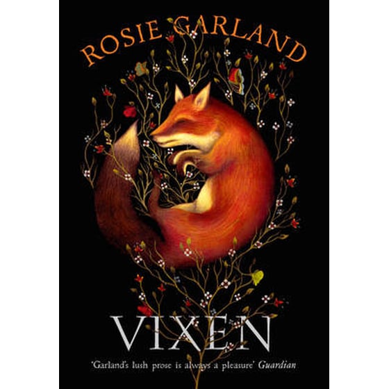 Vixen image 0