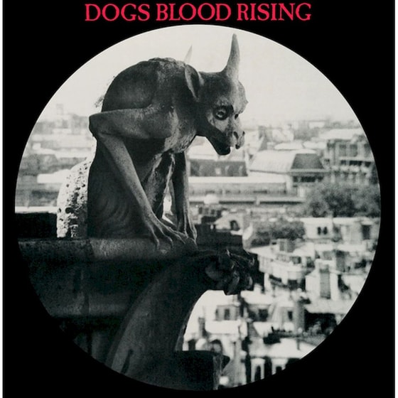 Dogs Blood Rising (Picture LP) image 0