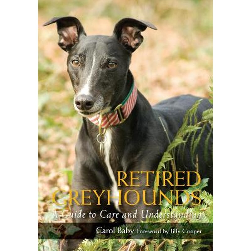 Retired Greyhounds