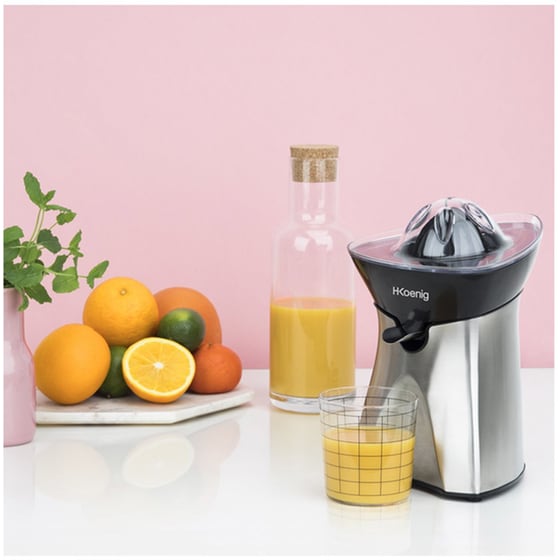 H.KOENIG AGR60 60 W Inox Ηλεκτρικός Στίφτης image 5