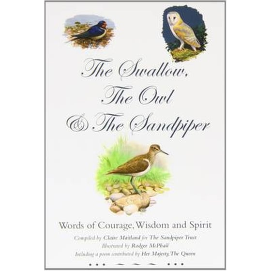 The Swallow, the Owl and the Sandpiper image 0