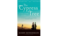 Cypress Tree