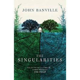 Singularities