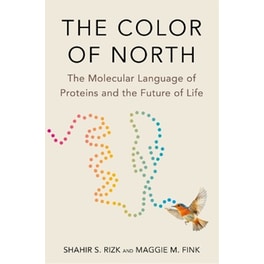The Color of North