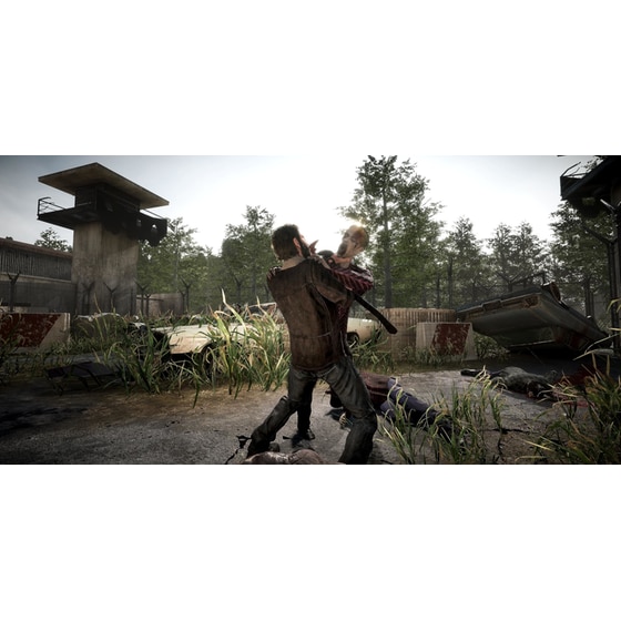 The Walking Dead: Destinies - Nintendo Switch image 5
