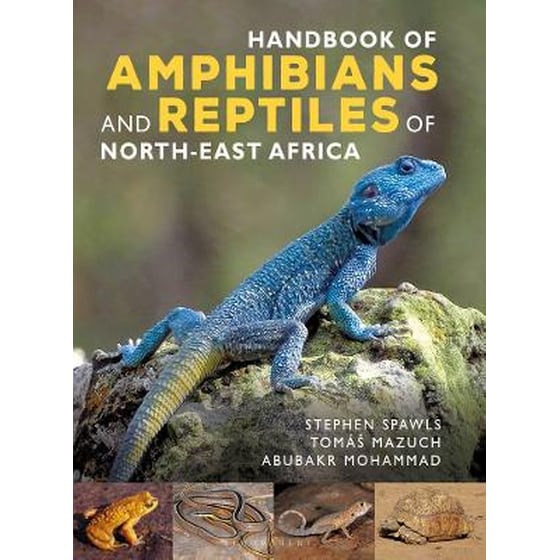 Handbook of Amphibians and Reptiles of North-east Africa image 0