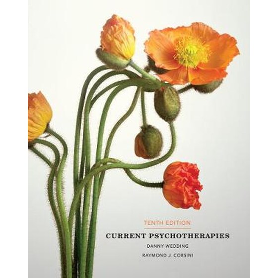 Current Psychotherapies image 0