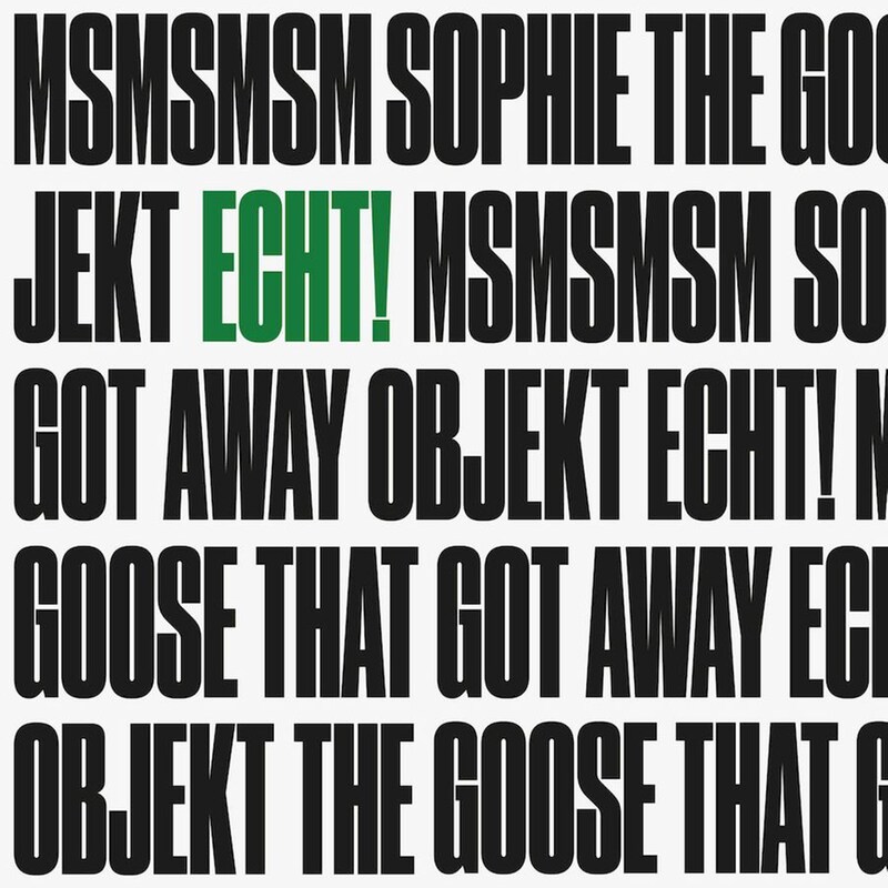 Msmsmsm / The Goose That Got Away