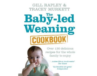 Baby-led Weaning Cookbook image 0