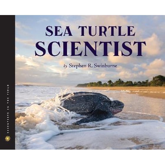 Sea Turtle Scientist image 0