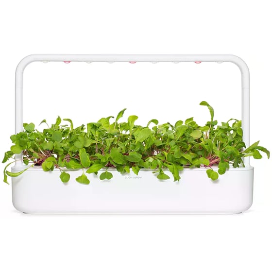 Κάψουλες Click and Grow 3 Τμχ - Ραπανάκι image 3