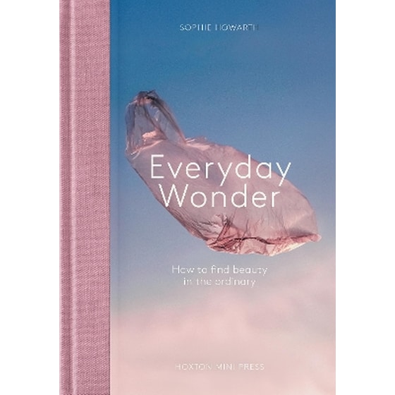 Everyday Wonder image 0
