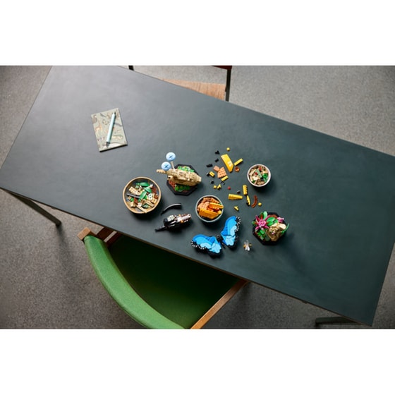 LEGO®Ideas The Insect Collection (21342) image 14