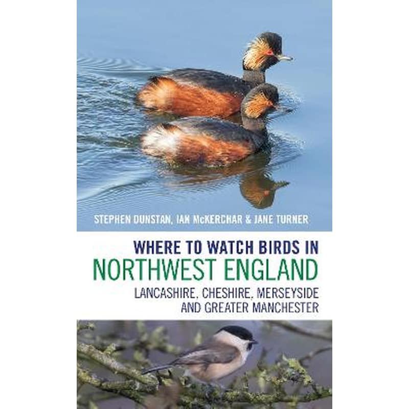 Where to Watch Birds in Northwest England