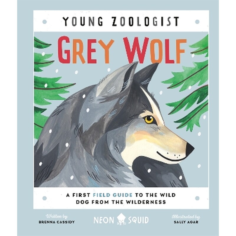 Grey Wolf (Young Zoologist)