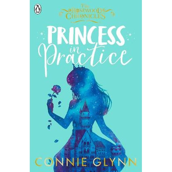 Princess in Practice image 0