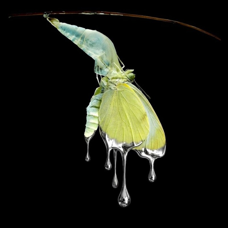LP2 (LP Coloured)