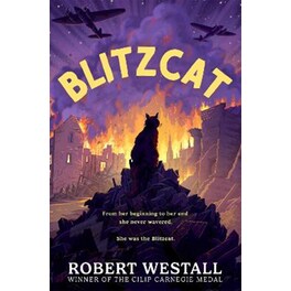 Blitzcat
