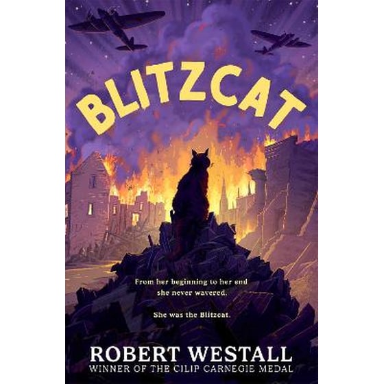 Blitzcat image 0
