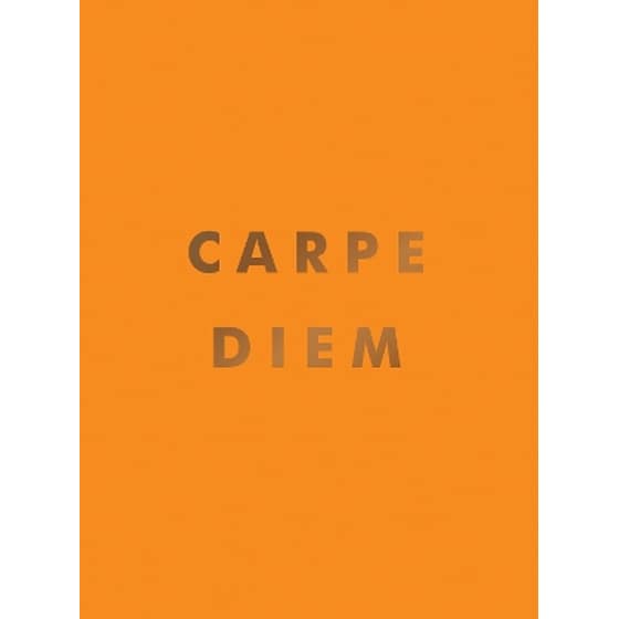 Carpe Diem image 0