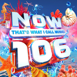 Now That's What I Call Music 106