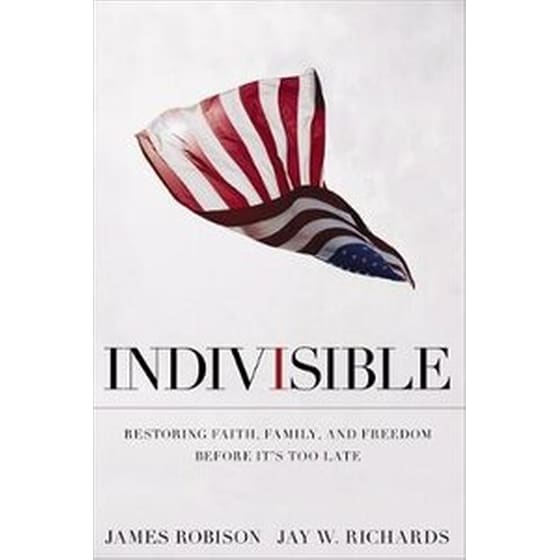 Indivisible image 0