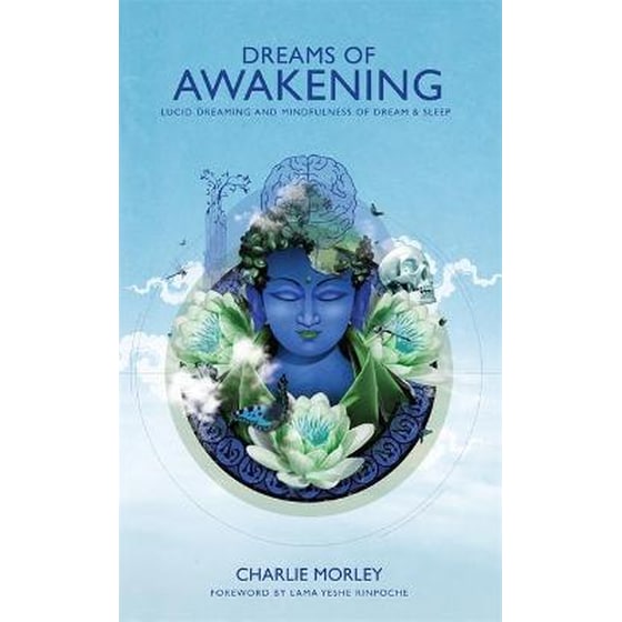 Dreams of Awakening image 0