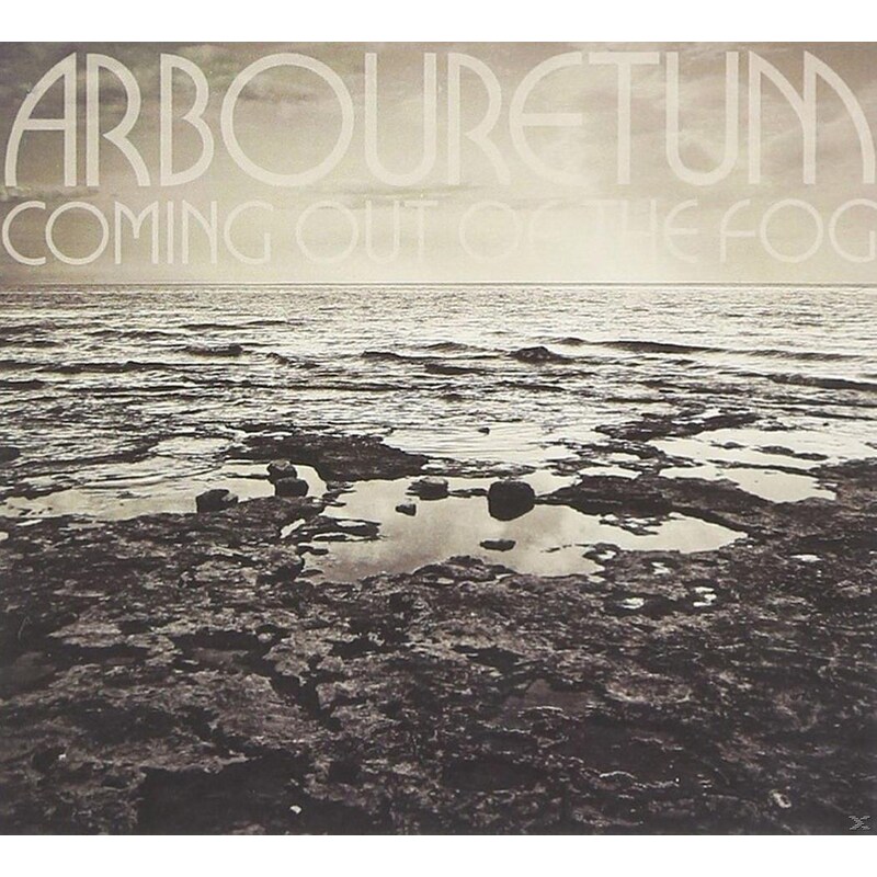 Coming Out Of The Fog